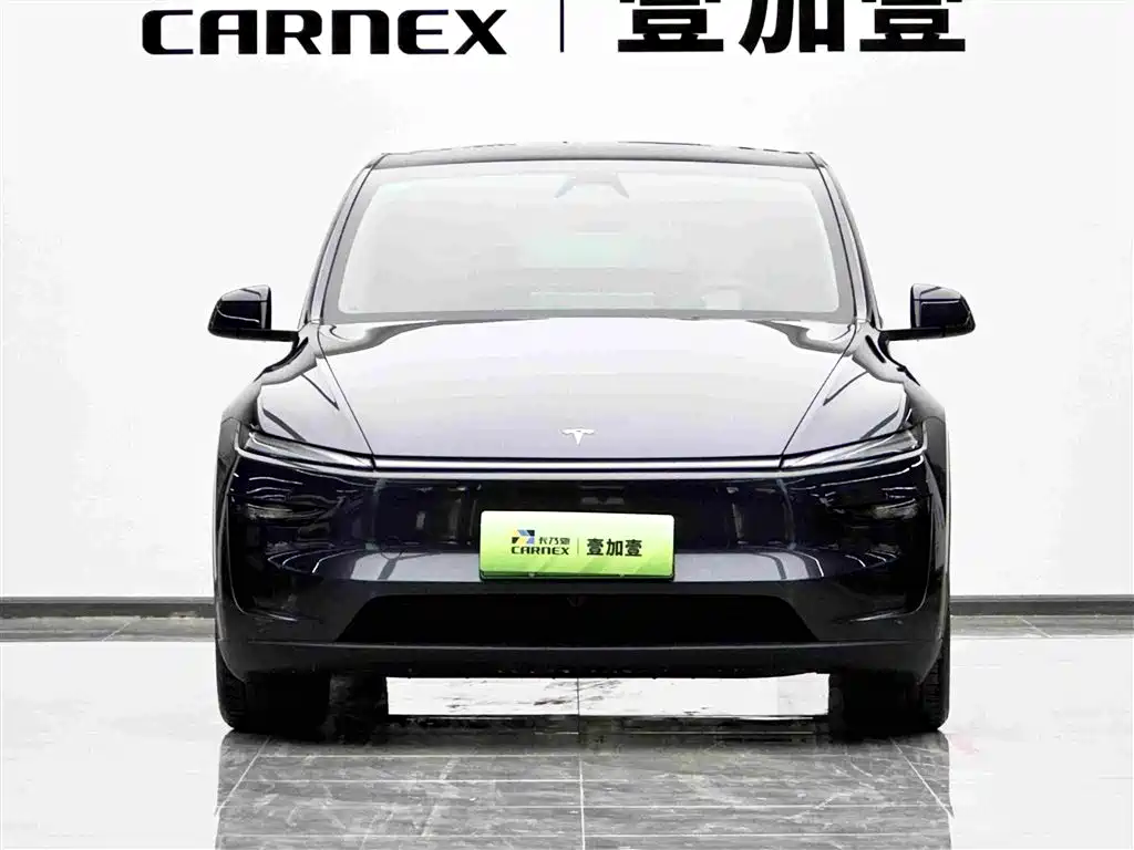 Tesla Model Y — миниатюра 2