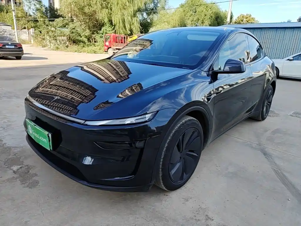 Tesla Model Y — миниатюра 2