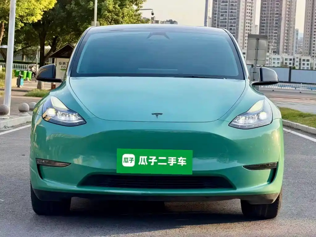 Tesla Model Y — миниатюра 3