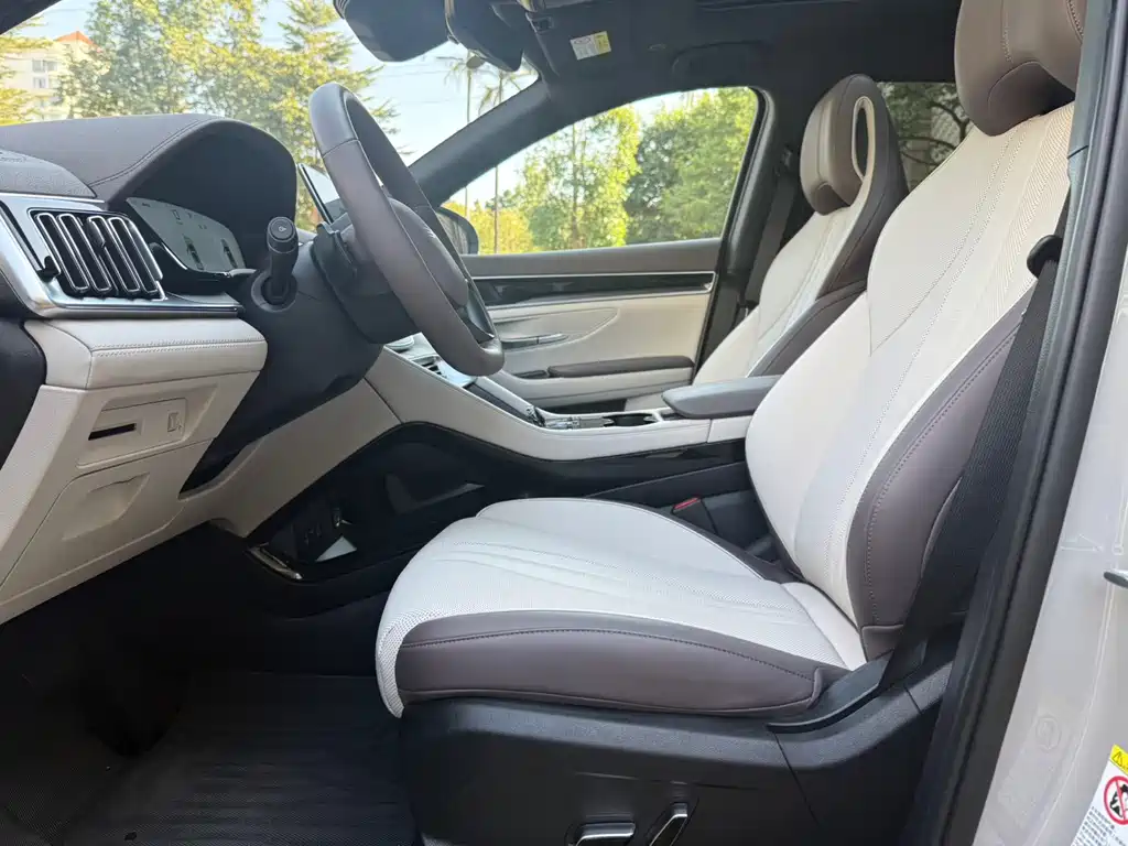 BYD SONGJIANG NEW ENERGY