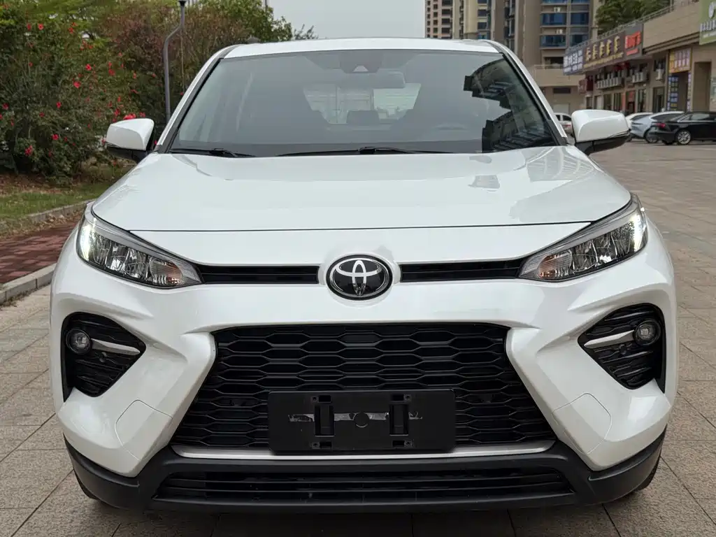 Toyota Wildlander 2020