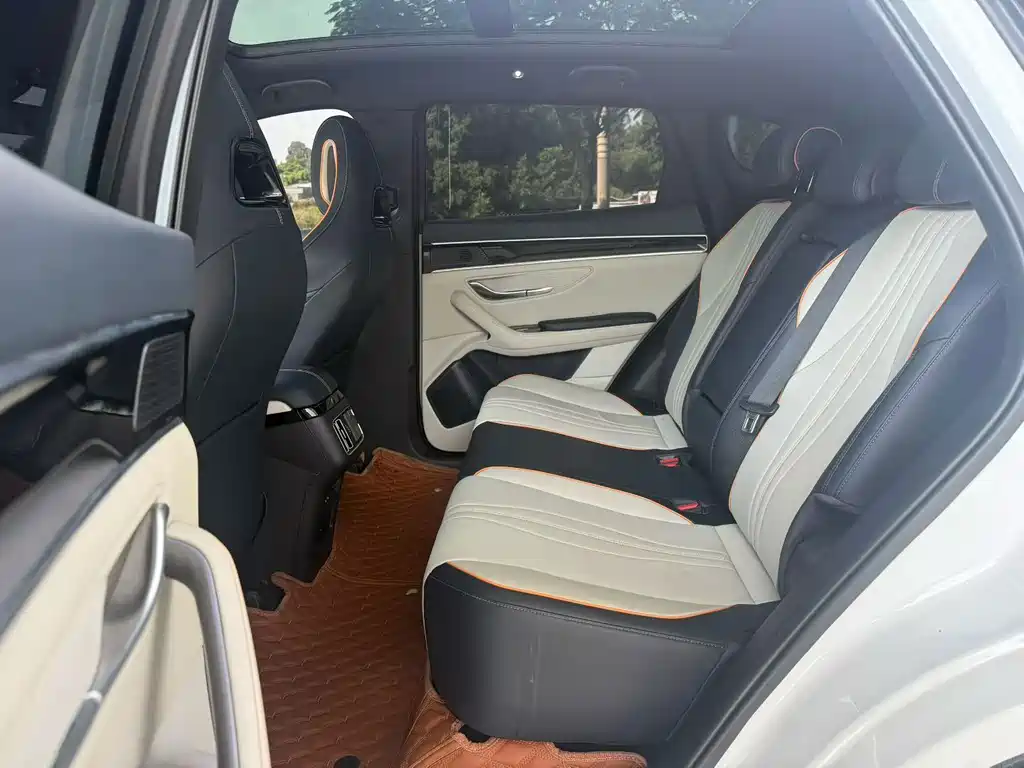 BYD PLUS New Energy — миниатюра 6