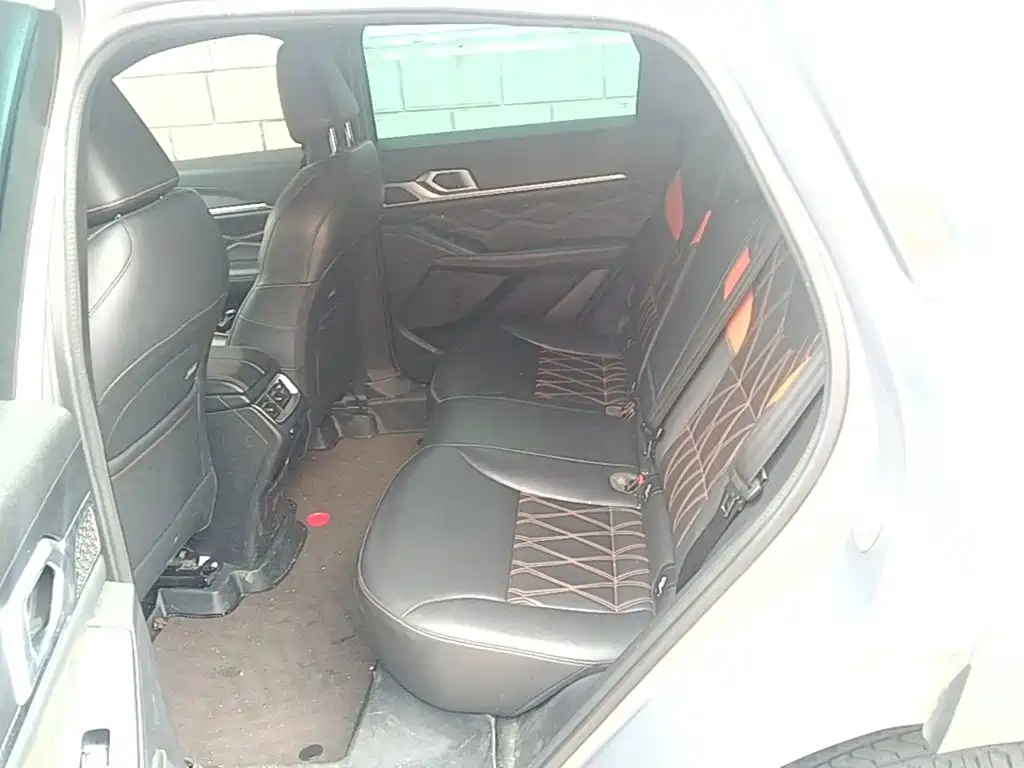 Haval Shenshou — миниатюра 13