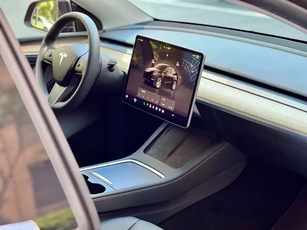 Tesla Model Y — миниатюра 16