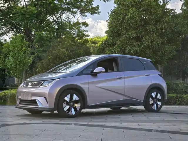 2022 BYD Dolphin