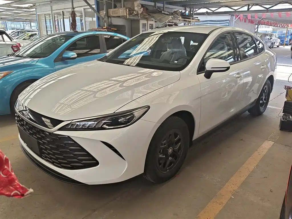 Byd Qin PLUS 2026