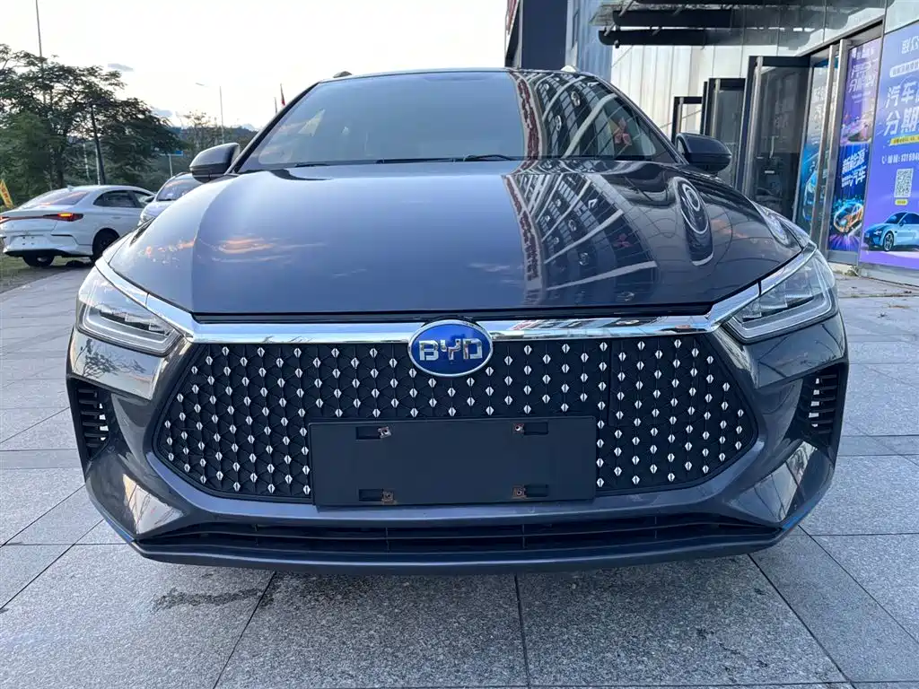 Byd e2 2019