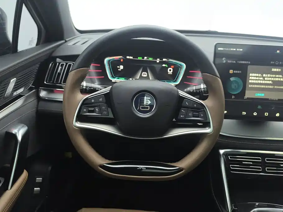 BYD Tang New Energy — миниатюра 15