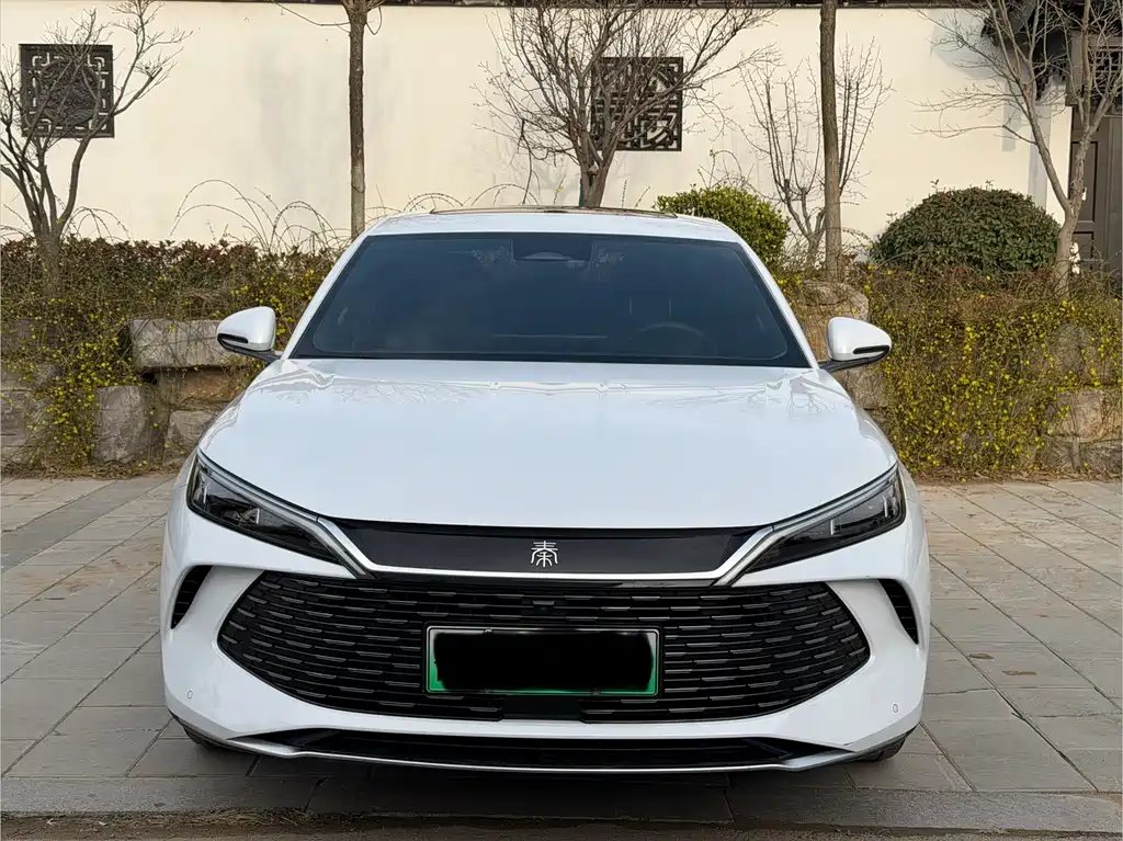 BYD QIN L