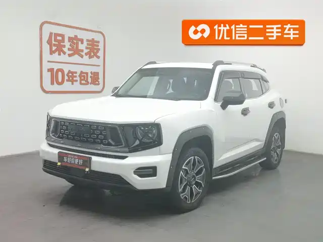 HAVAL SECOND GENERATION BIG DOG NEW ENERGY 2024