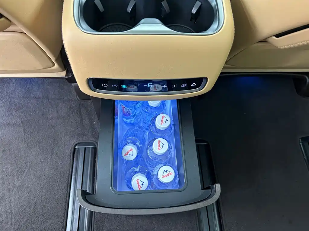 Denza Denza D9 — миниатюра 16