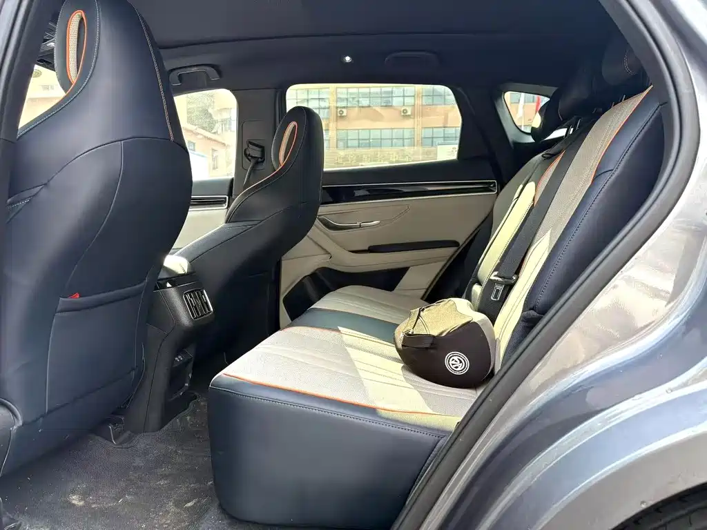 BYD SONGJIANG NEW ENERGY