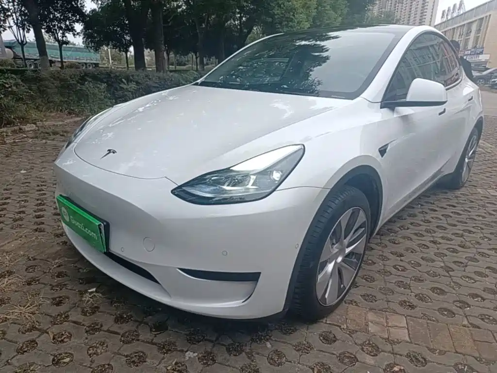 Tesla Model Y — миниатюра 2