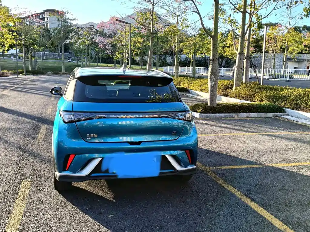 BYD Dolphin — миниатюра 7