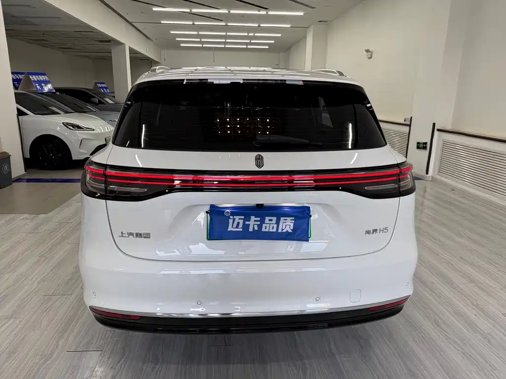 Shangjie Shangjie H5 — миниатюра 11