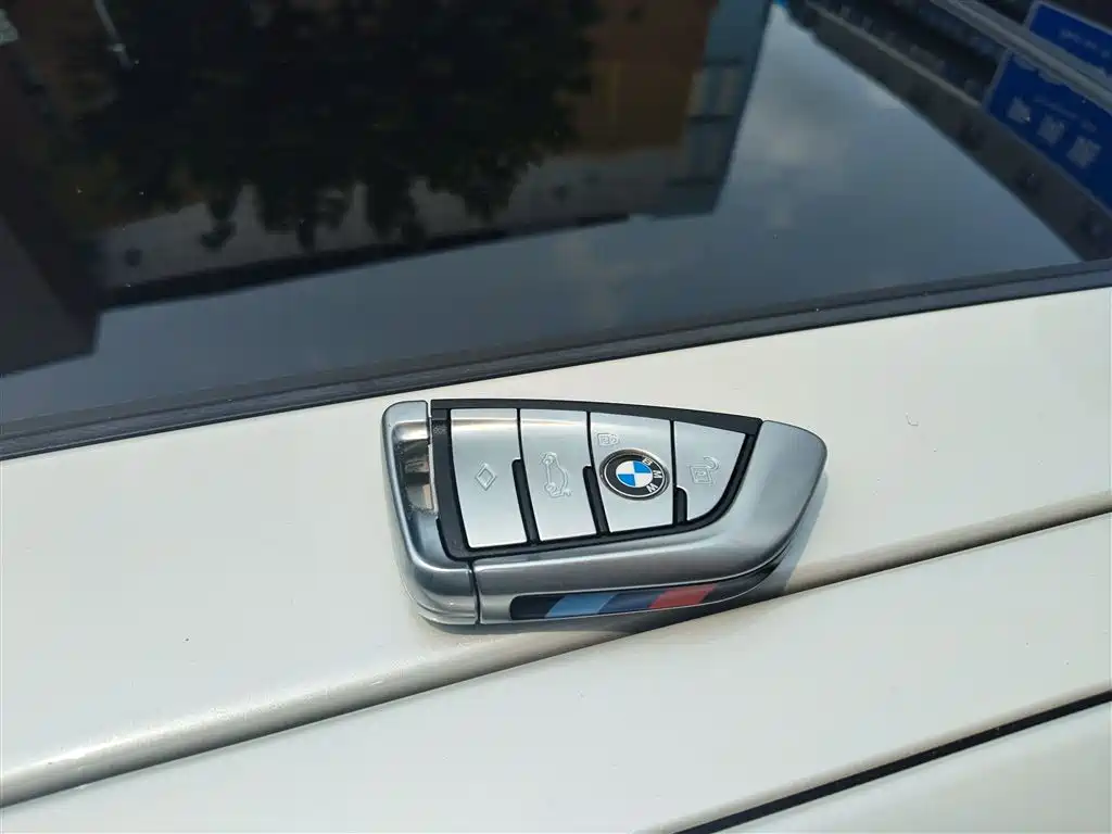 BMW 5 Series 5 2020 530Li Lead M Sport