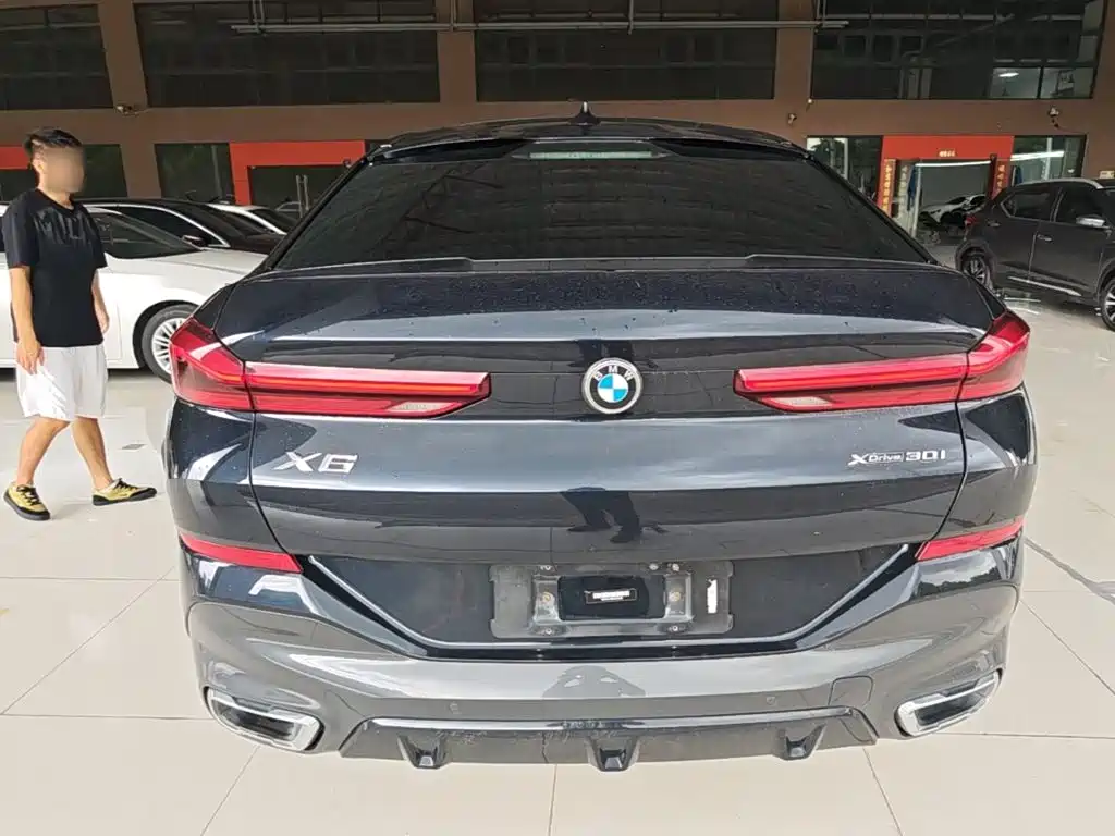 BMW X6 2020 xDrive30i M Sport