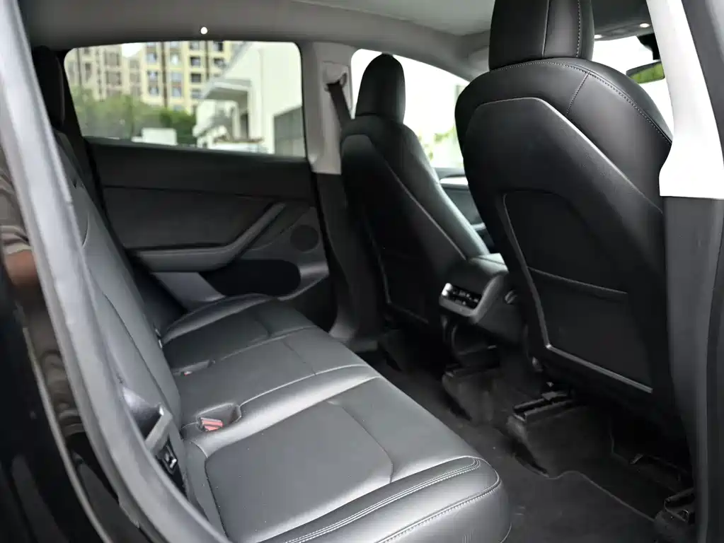 Tesla Model Y — миниатюра 6
