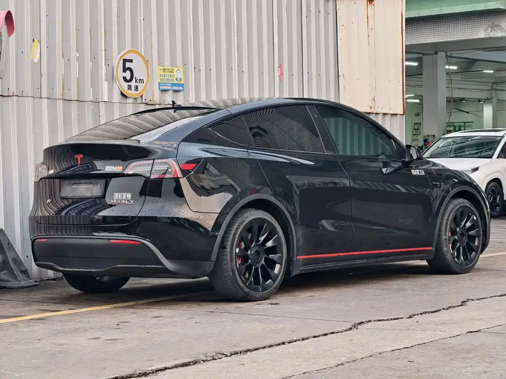 Tesla Model Y — миниатюра 5