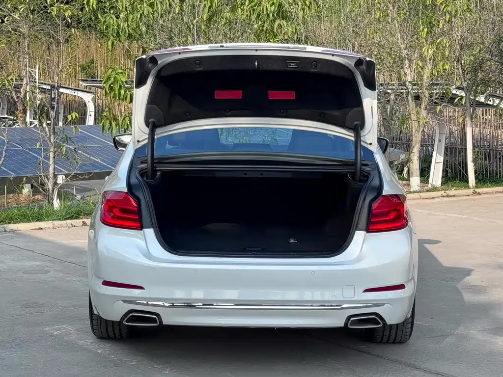 BMW 5 SERIES NEW ENERGY