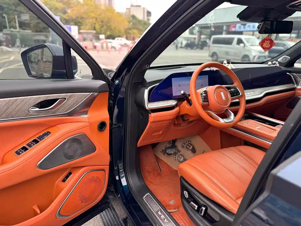 WEI PAI WEI BRAND BLUE MOUNTAIN