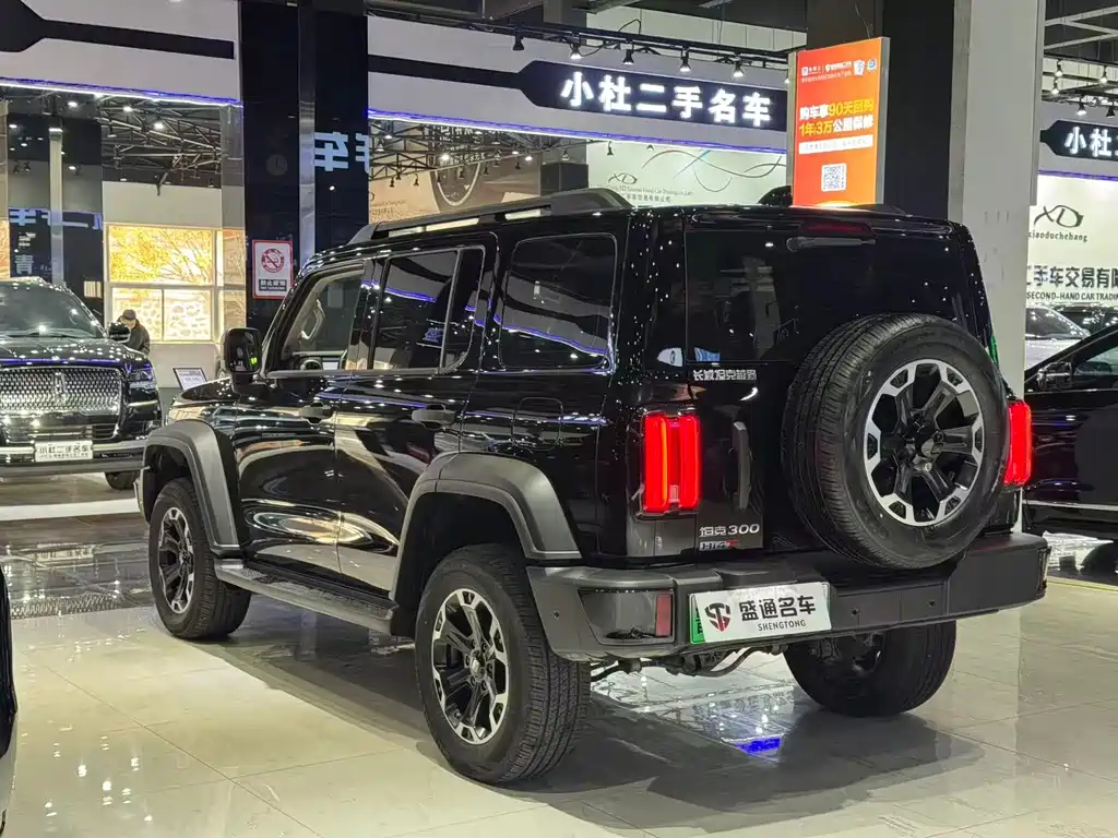 TANK TANK 300 NEW ENERGY