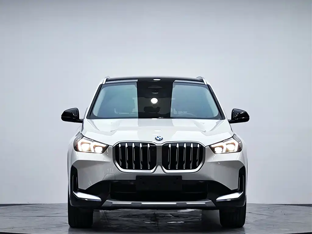 BMW X1 — миниатюра 2