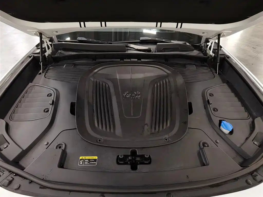 Hongqi E-HS9 2021 510km мест