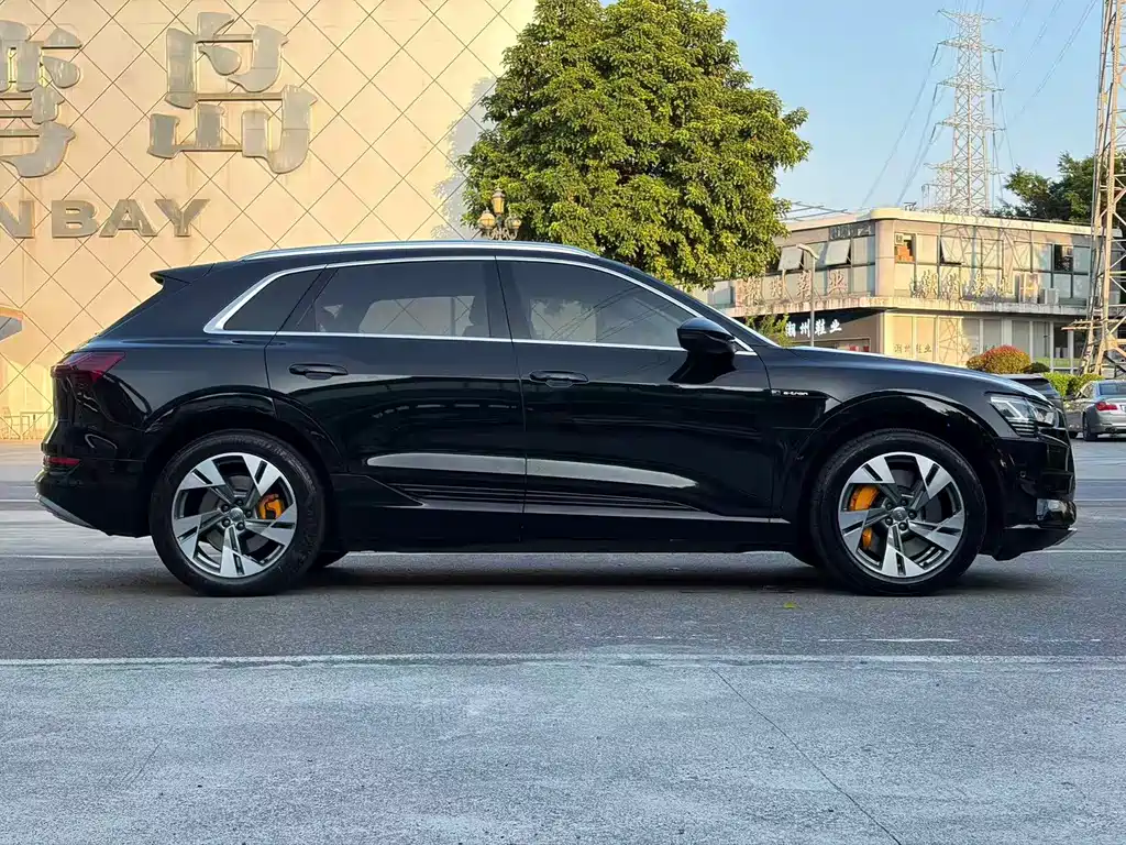 Audi e-tron (Import) — миниатюра 5