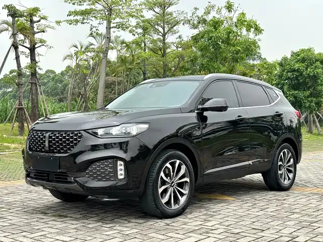 2020 Wey VV6