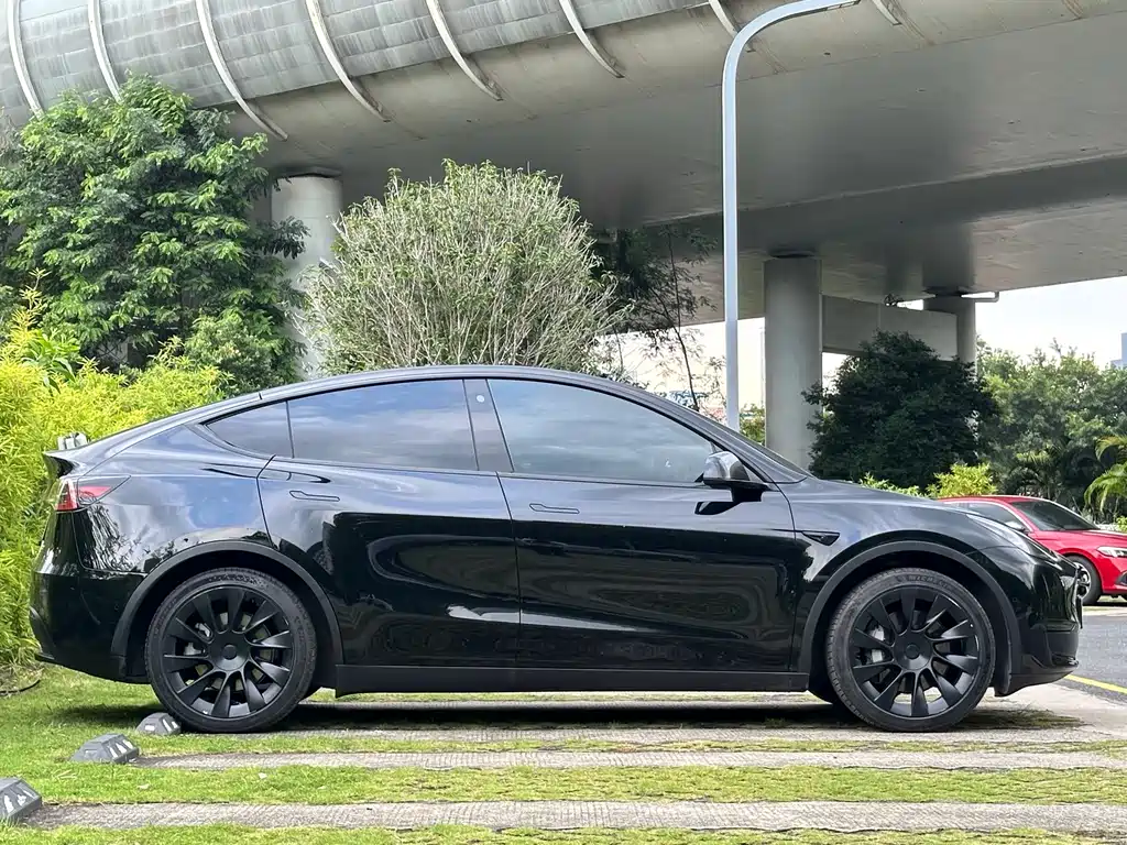 Tesla Model Y — миниатюра 13
