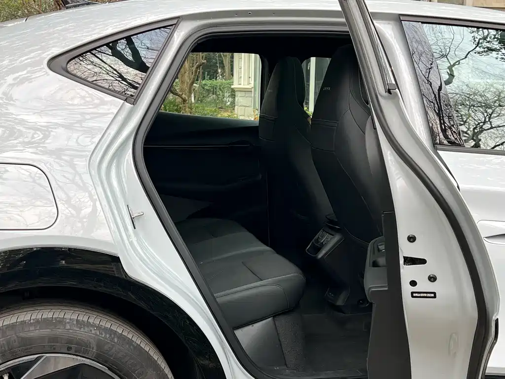 VOLKSWAGEN WITH THE CROWD 06