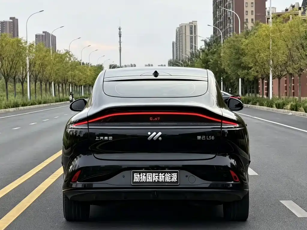 IM IM LS6 — миниатюра 8