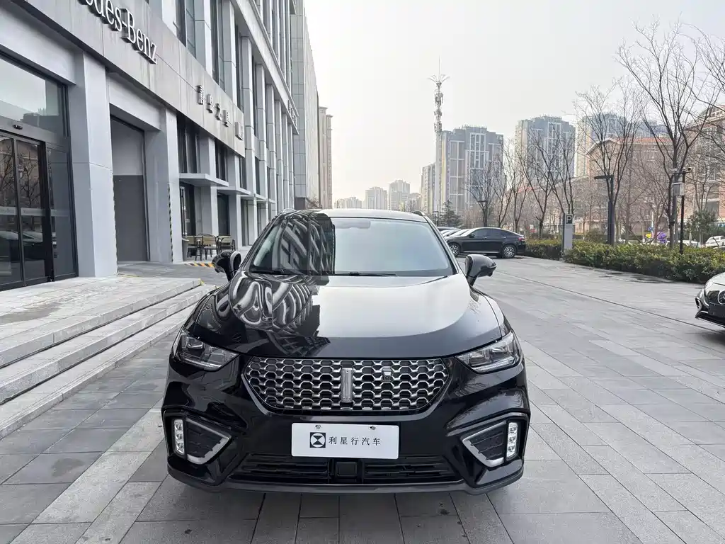 WEI PAI WEI BRAND VV5