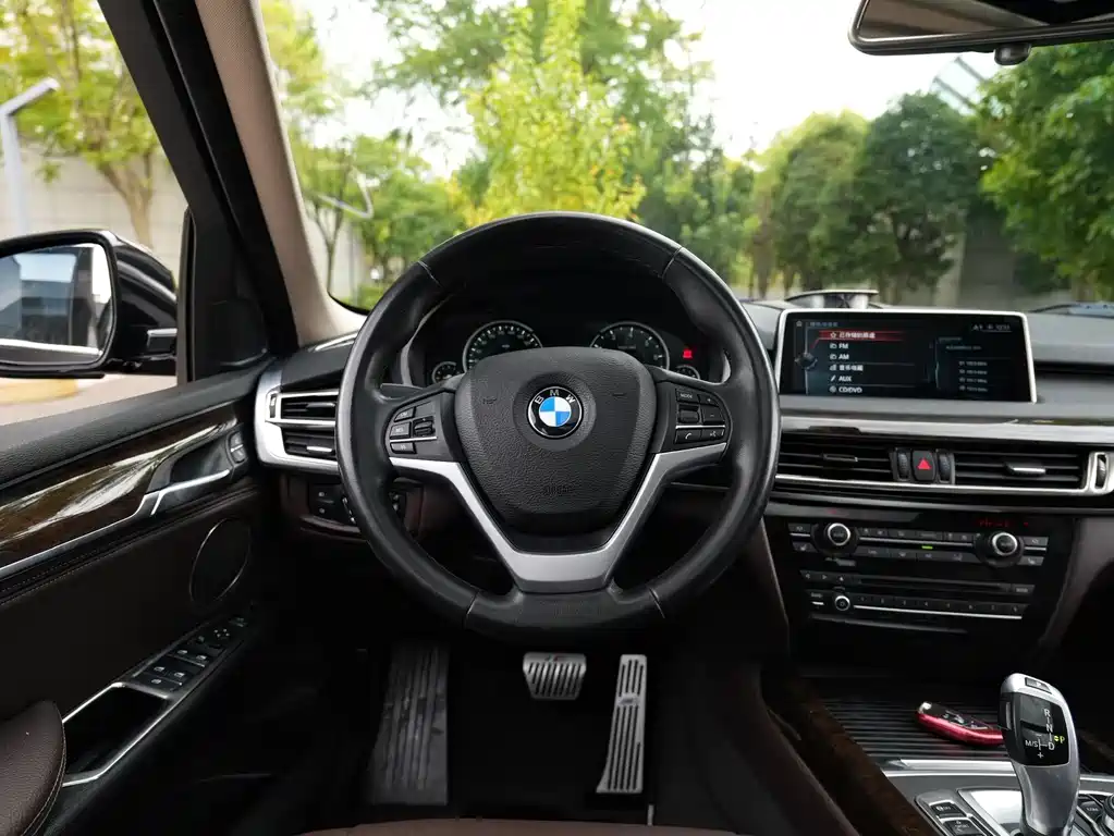 BMW X5 (Import) — миниатюра 5