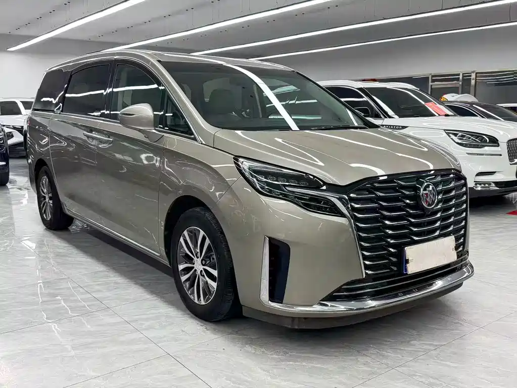 Buick GL8 — миниатюра 3