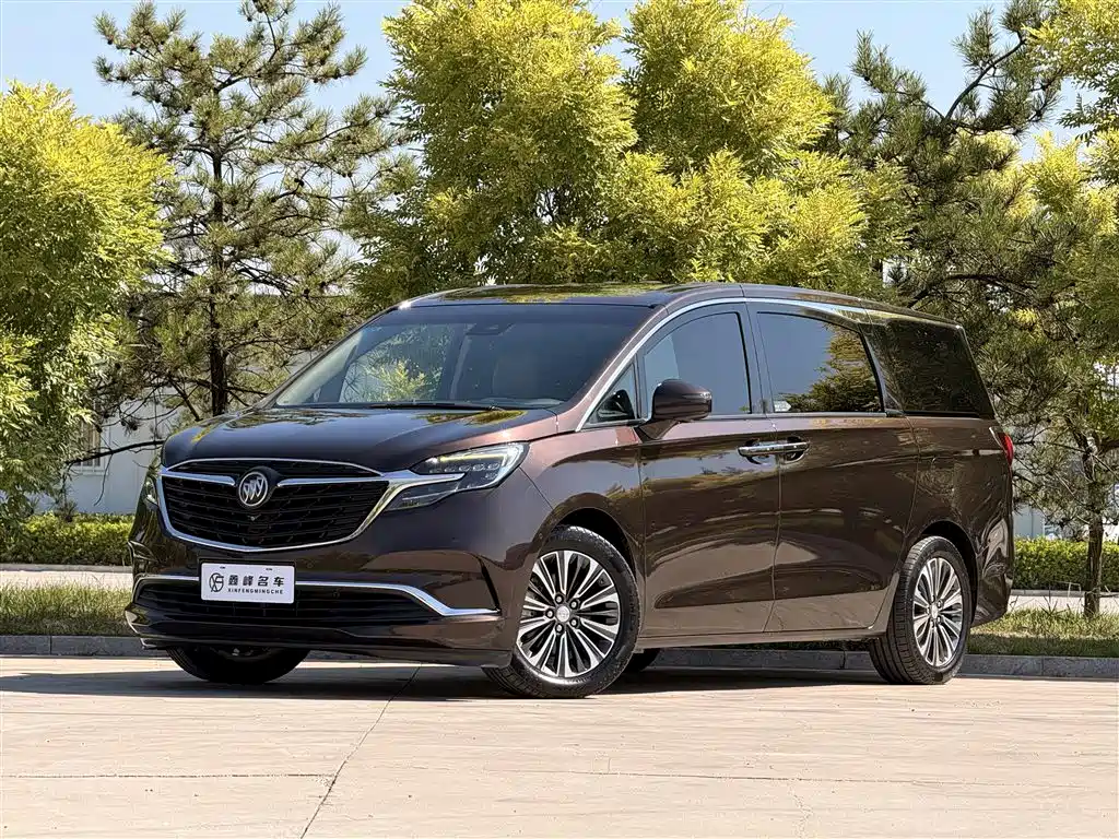 Buick GL8 2021 ES LandKing 653T Luxury Type