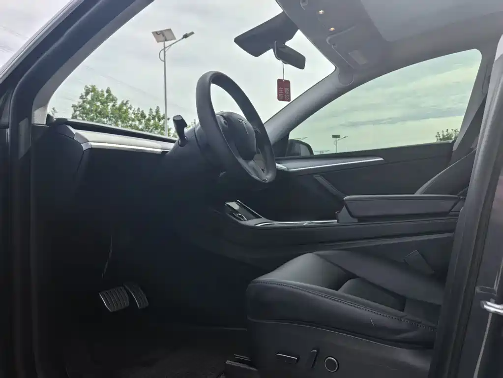 Tesla Model Y — миниатюра 4