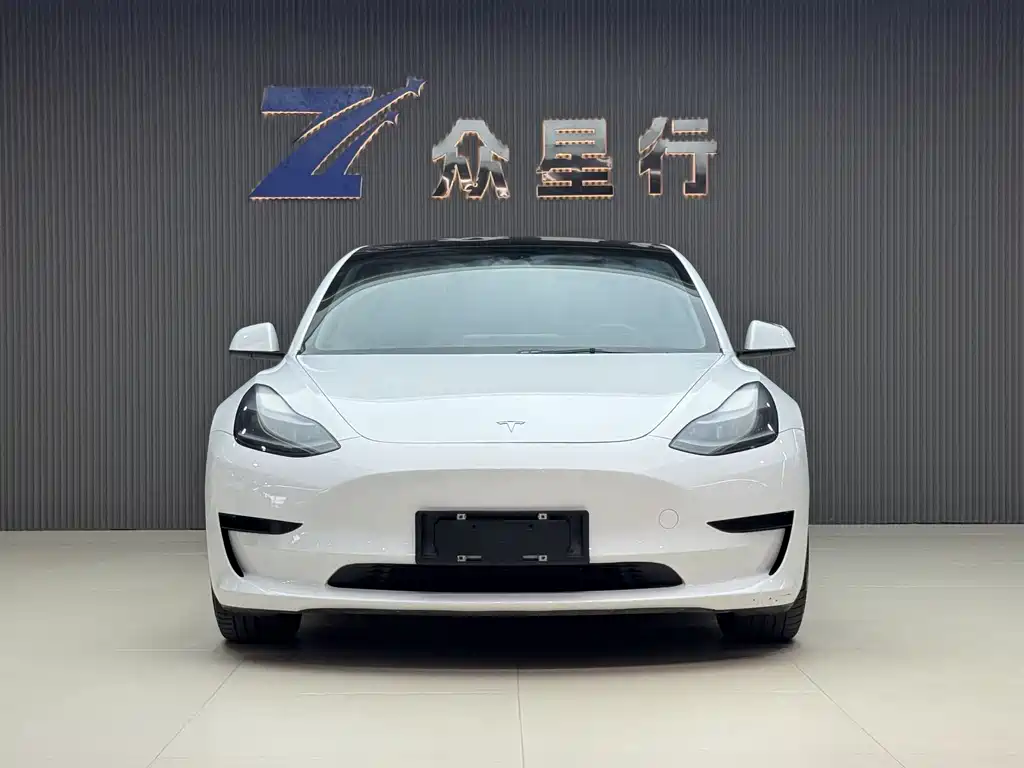 Tesla Model 3 2021 3D1