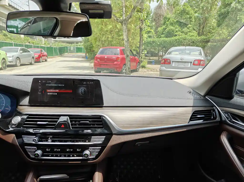 BMW 5 Series 5 2019 530Li Lead Luxury