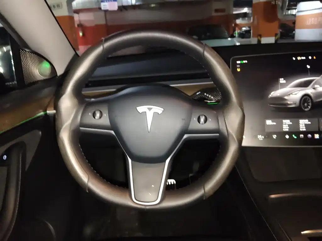 Tesla Model Y — миниатюра 3