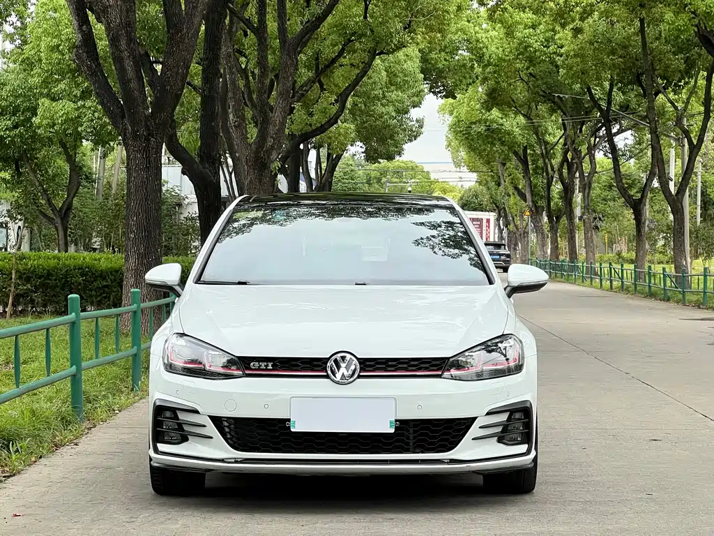 Volkswagen Golf GTI GTI 2018 2.0TSI GTI