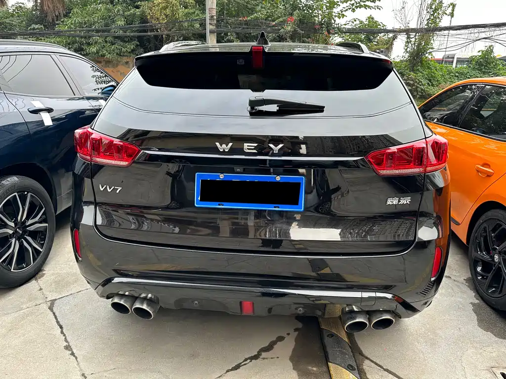 WEI PAI WEI BRAND VV7