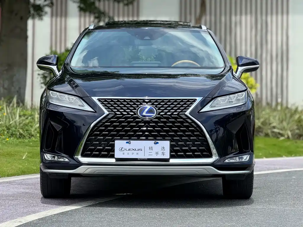 Lexus RX 2020 450hL Luxury 6 мест VI