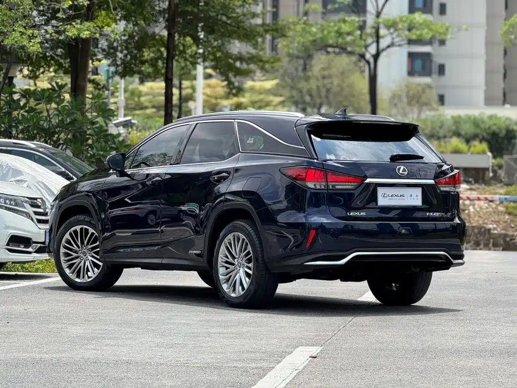 Lexus RX 2020 450hL Luxury 6 мест VI