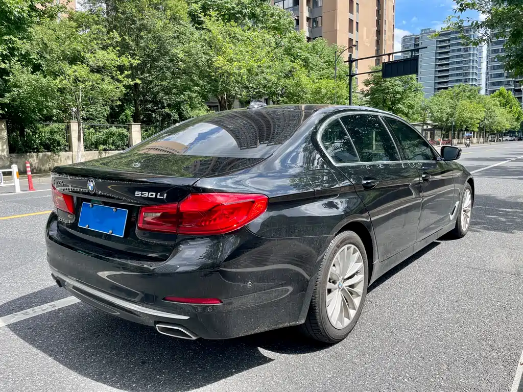 BMW 5 Series 5 2019 530Li Lead Luxury