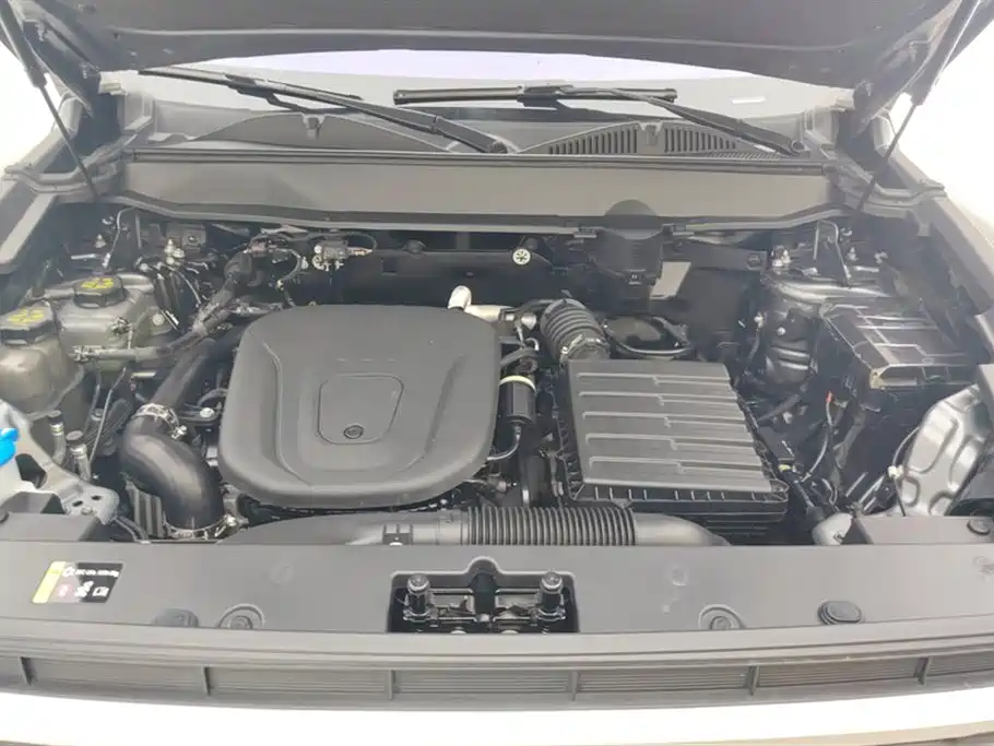 HAVAL RAPTORS NEW ENERGY