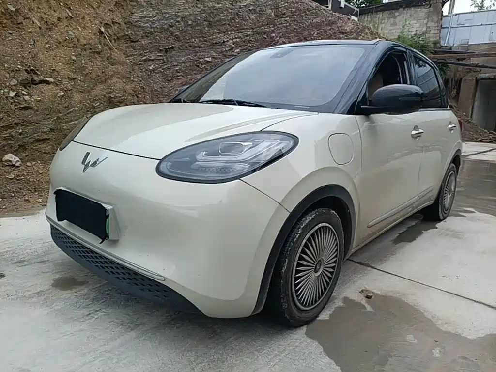 Wuling Binguo