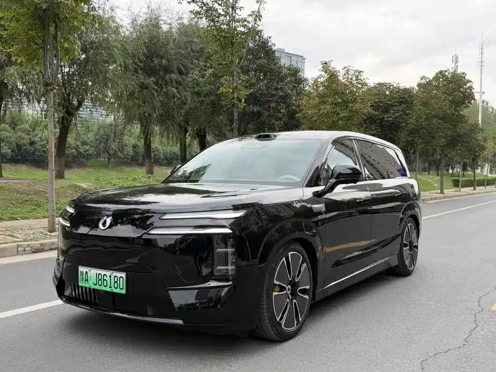Denza Denza N8L — миниатюра 2