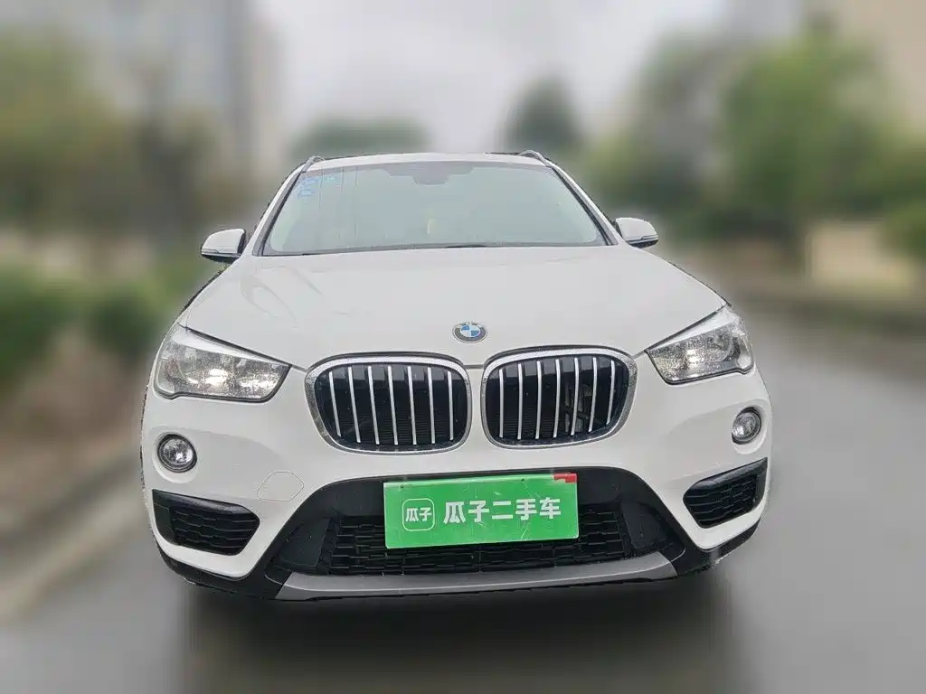 BMW X1 — миниатюра 2